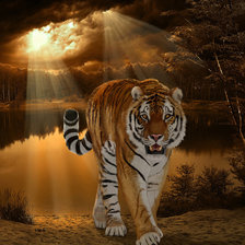 Схема вышивки «тигр»