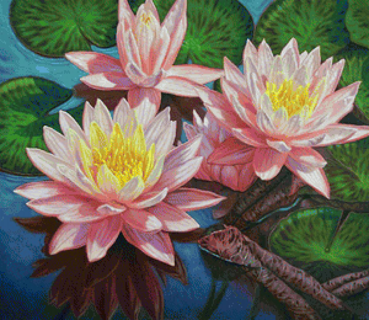 Худ. Фиона Крайг - водяные лилии, цветы - предпросмотр