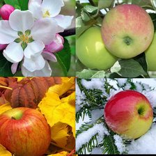 Схема вышивки «времена годп»