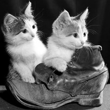 Схема вышивки «котята в башмаке монохром»