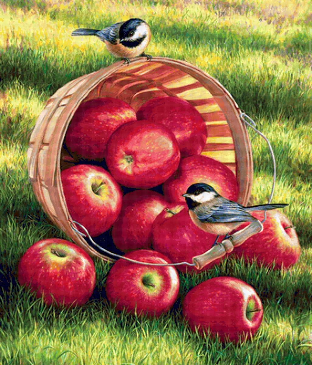 урожай яблок - яблоки, природа, птицы, пейзаж - предпросмотр