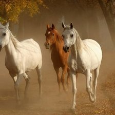 Схема вышивки «№1253712»