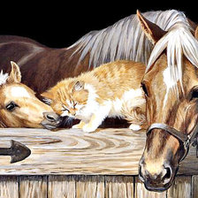 Схема вышивки «№1253811»