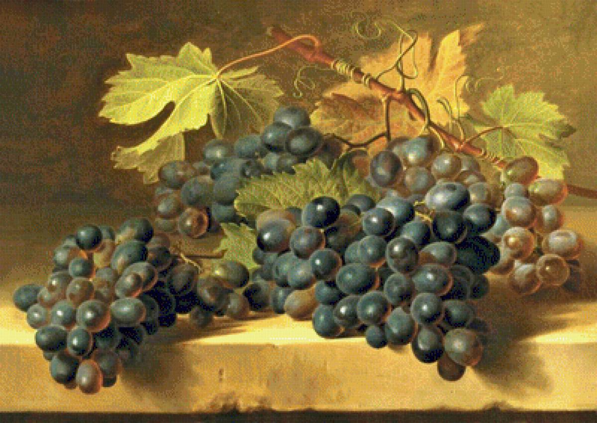 №1253819 - предпросмотр