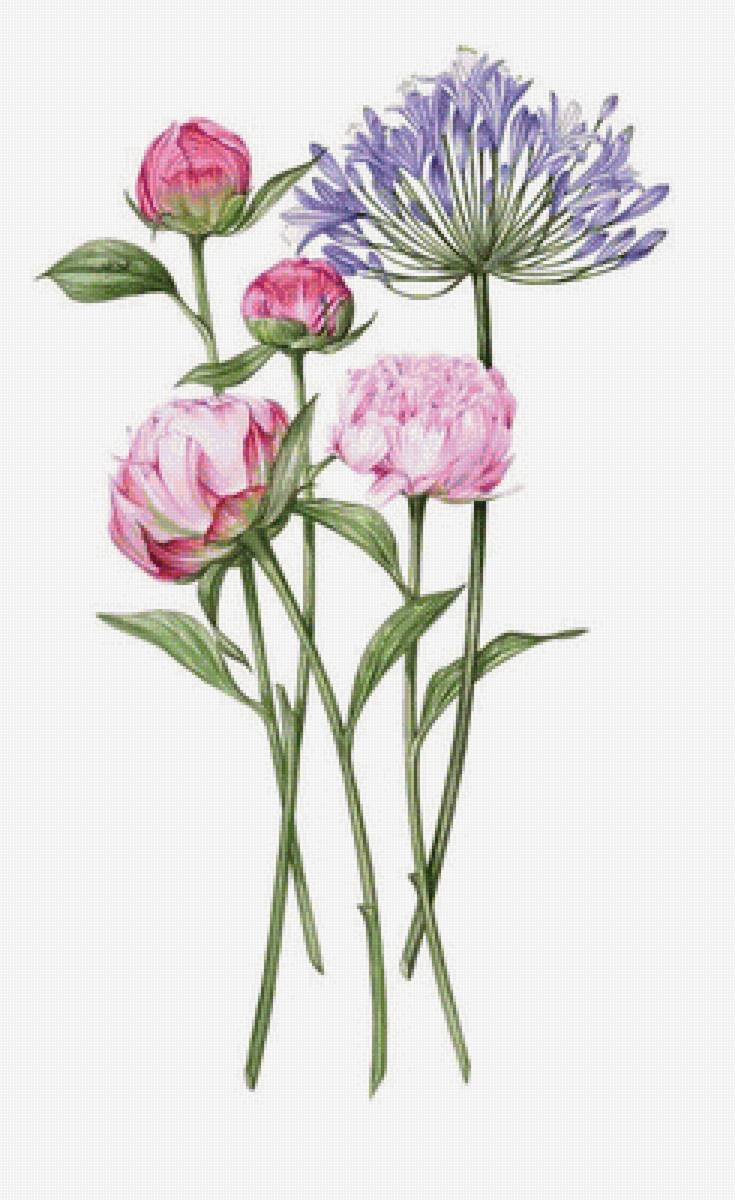 цветы - букет, цветы - предпросмотр