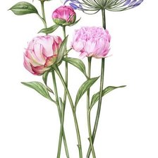 Схема вышивки «цветы»