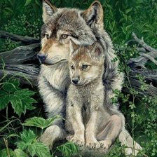 Схема вышивки «Волки»