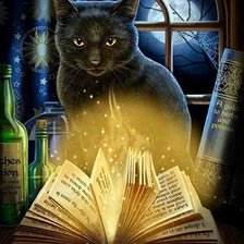 Схема вышивки «Черный кот»