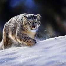 Схема вышивки «забег»