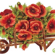 Схема вышивки «макове»