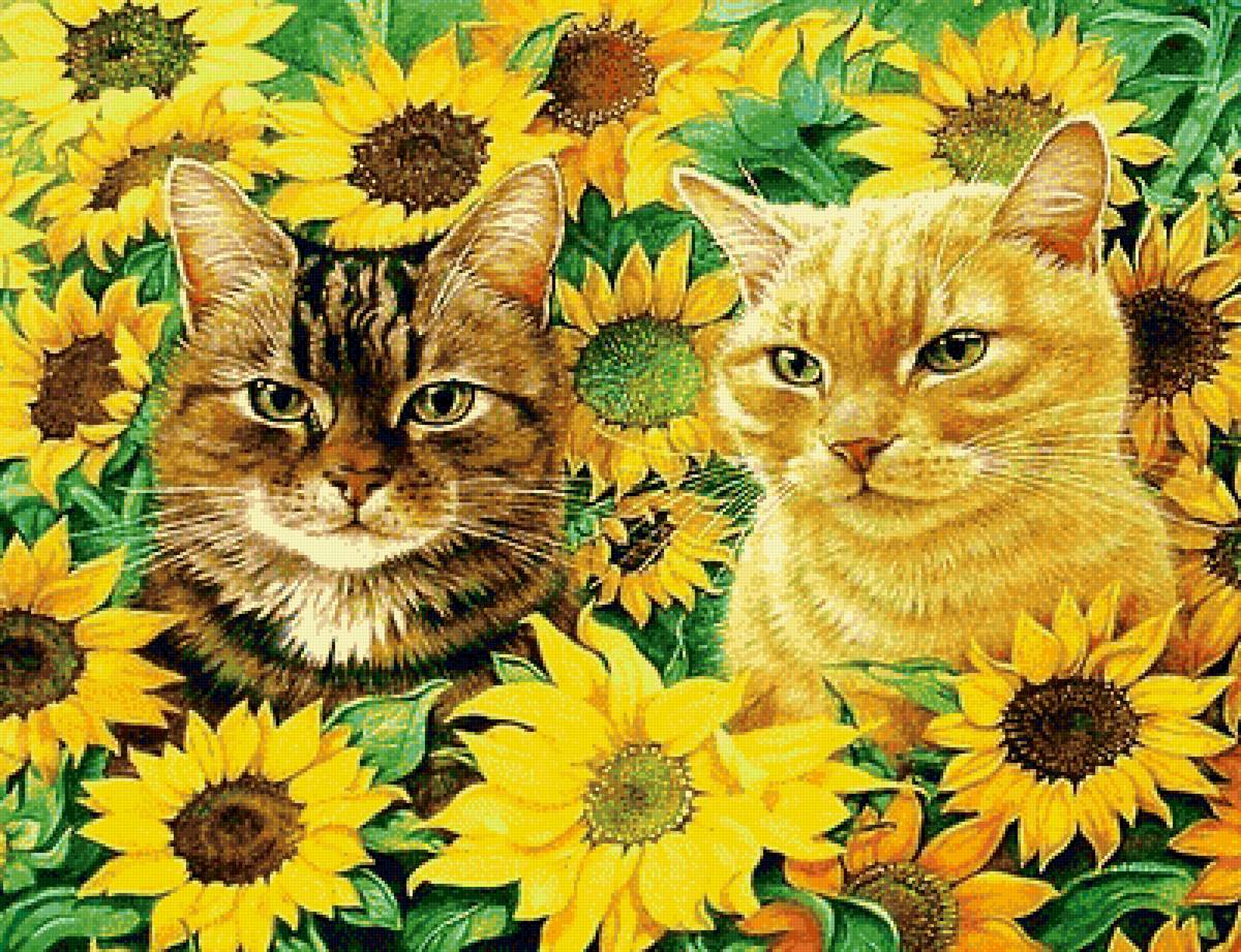 котики - лето, подсолнухи, животное, цветы - предпросмотр