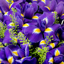 Схема вышивки «цветы»