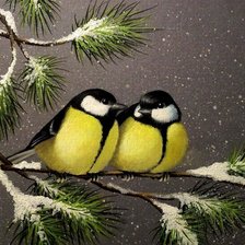 синички на сосне