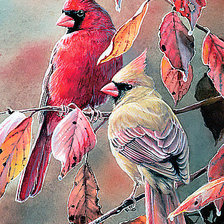 Схема вышивки «№1254833»