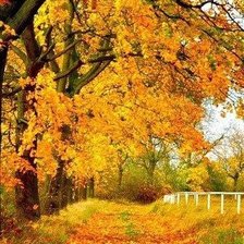 Схема вышивки «осень золотая»