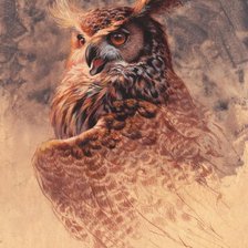 Схема вышивки «Ezra Tucker - Бухал»