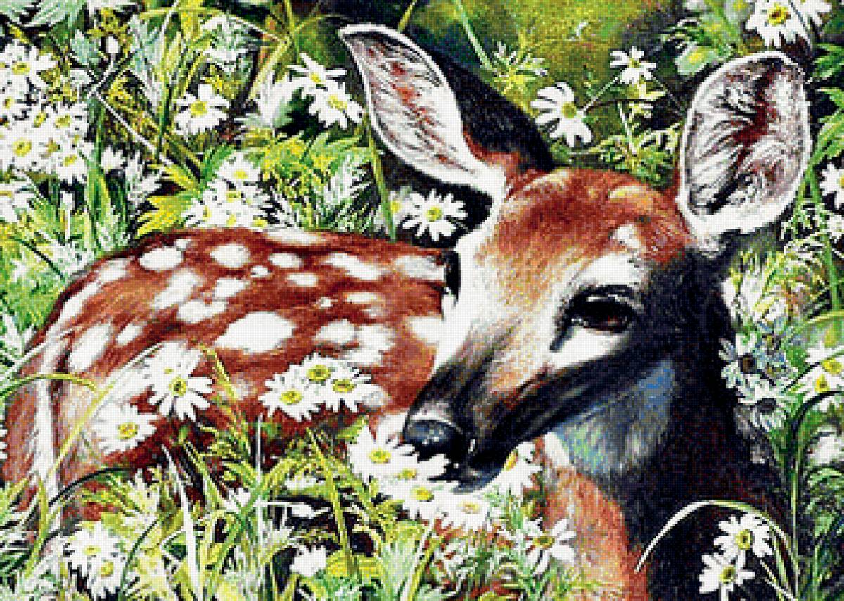 оленёнок. - олень. ромашки. - предпросмотр