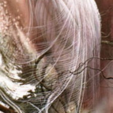 Схема вышивки «Lee Bogle - Repose»