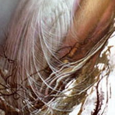 Схема вышивки «Lee Bogle - Into the Light»