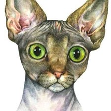 Схема вышивки «sfinks»