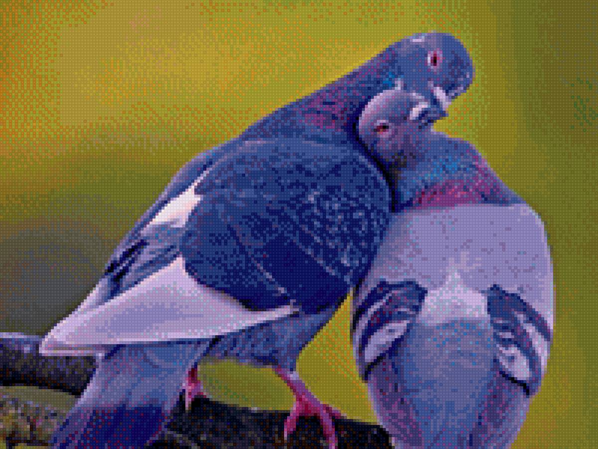 Голубки - голуби, любовь, верность, нежность - предпросмотр