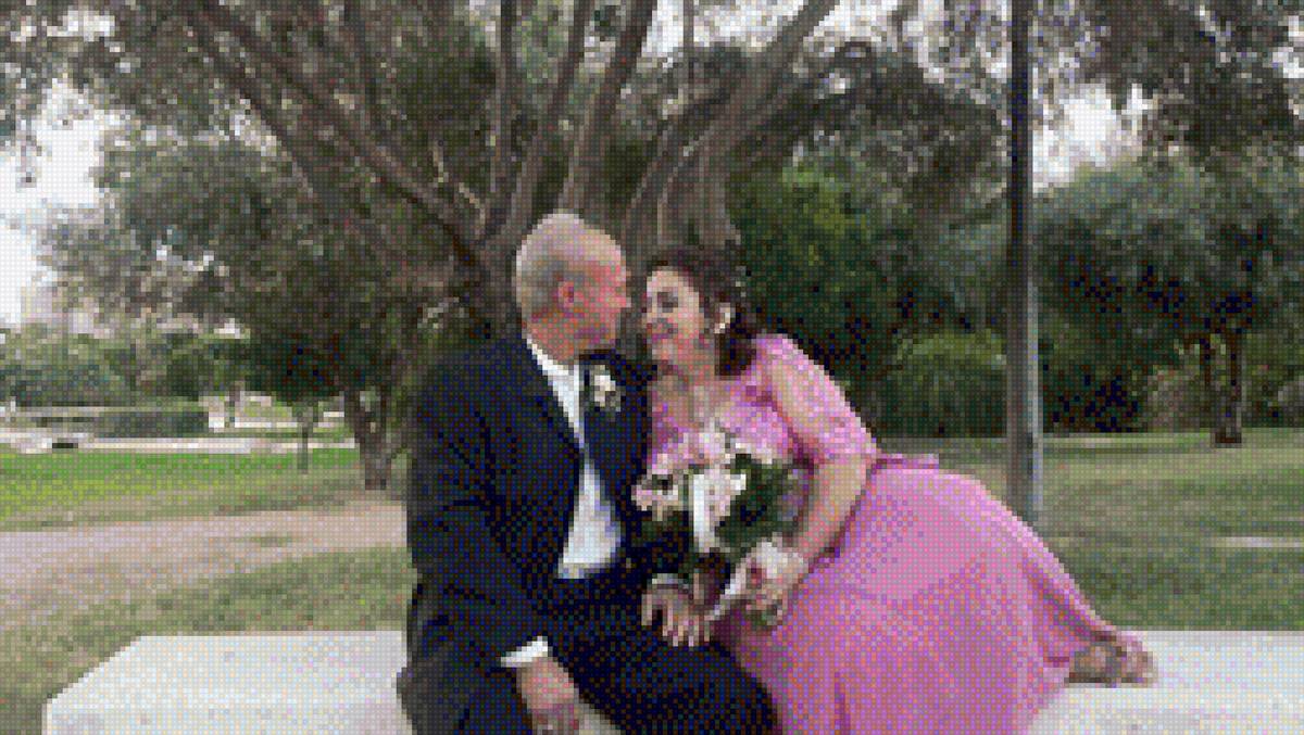 boda - предпросмотр