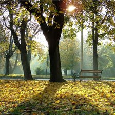 Схема вышивки «осенний парк»