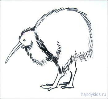 киви_2 - киви, kiwi - оригинал