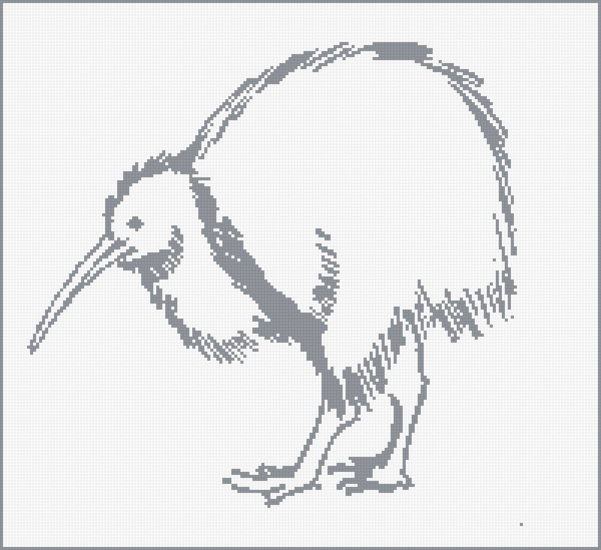 киви_2 - kiwi, киви - предпросмотр