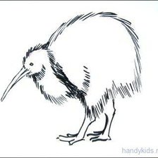 Схема вышивки «киви_2»