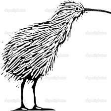 Схема вышивки «киви_3»