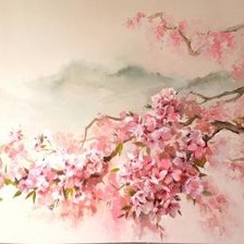 Ветка сакуры