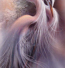 Схема вышивки «Lee Bogle - Harmony»