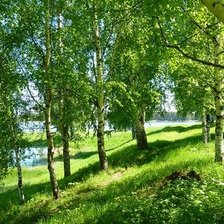 Схема вышивки «Лес»