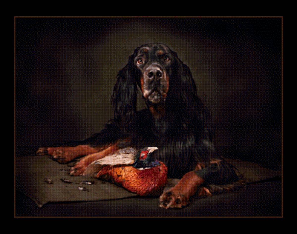 Мой охотник - собаки - предпросмотр