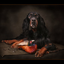 Мой охотник