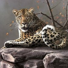 Схема вышивки «Леопард»