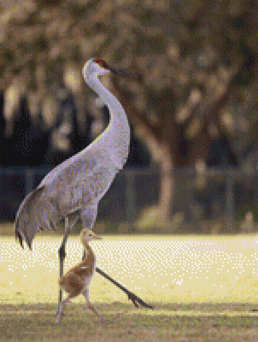 Журавли - мама, семья, вместе, птицы - предпросмотр