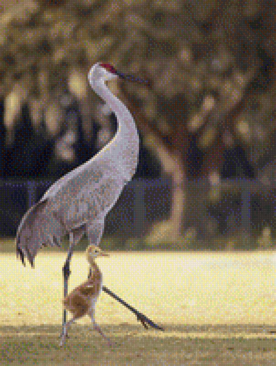 Журавли - семья, птицы, мама, вместе - предпросмотр