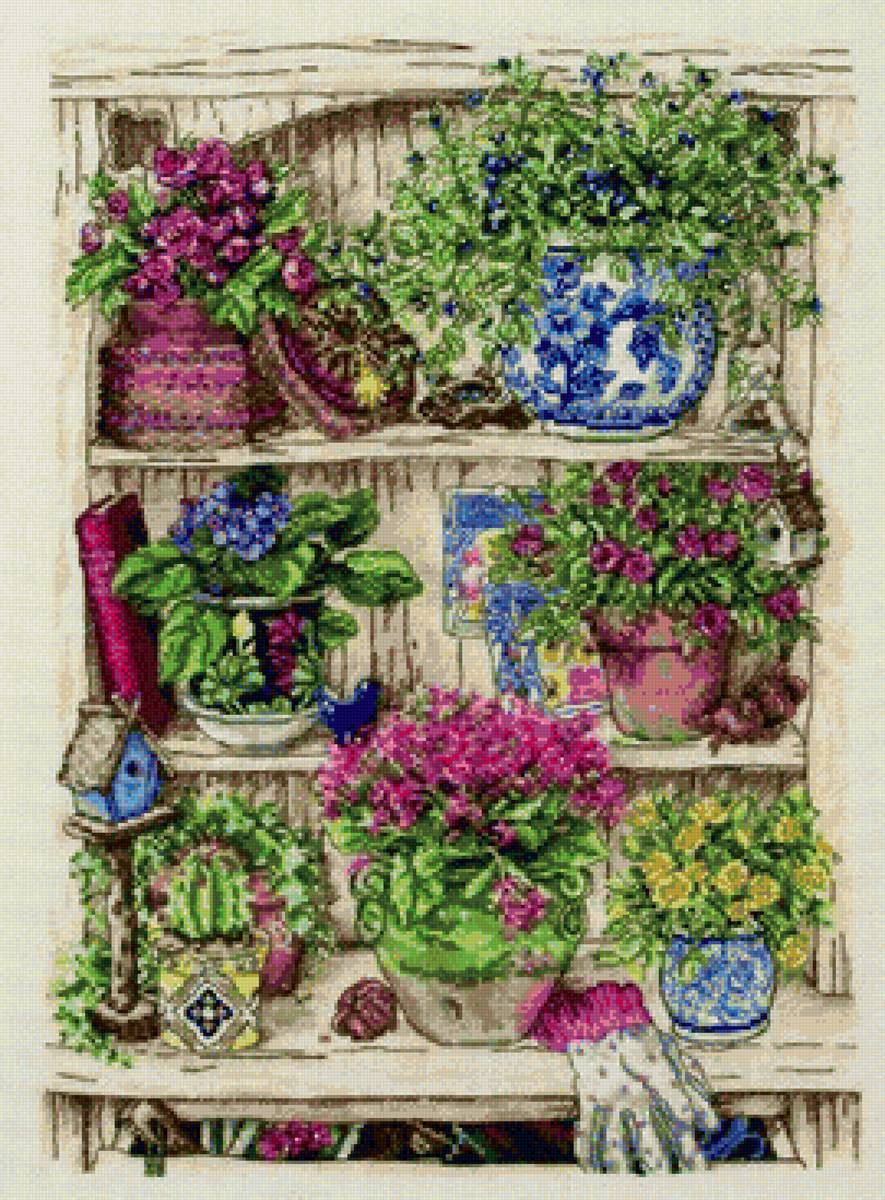 цветочная полка - цветы, полка, лето, дача - предпросмотр