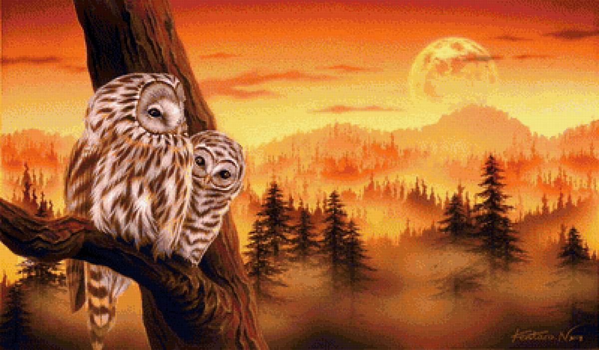 СОВУШКИ - предпросмотр