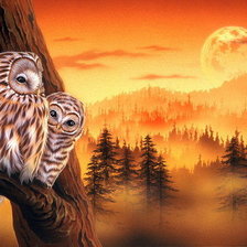 Схема вышивки «СОВУШКИ»