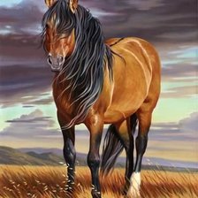 Схема вышивки «Лошадь»