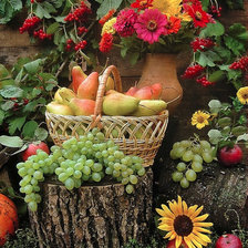 Схема вышивки «натюрморт»