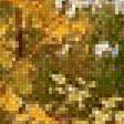 Предпросмотр схемы вышивки «осенний парк» (№1258051)