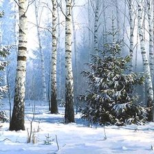 Схема вышивки «Серия "Зима пришла"»