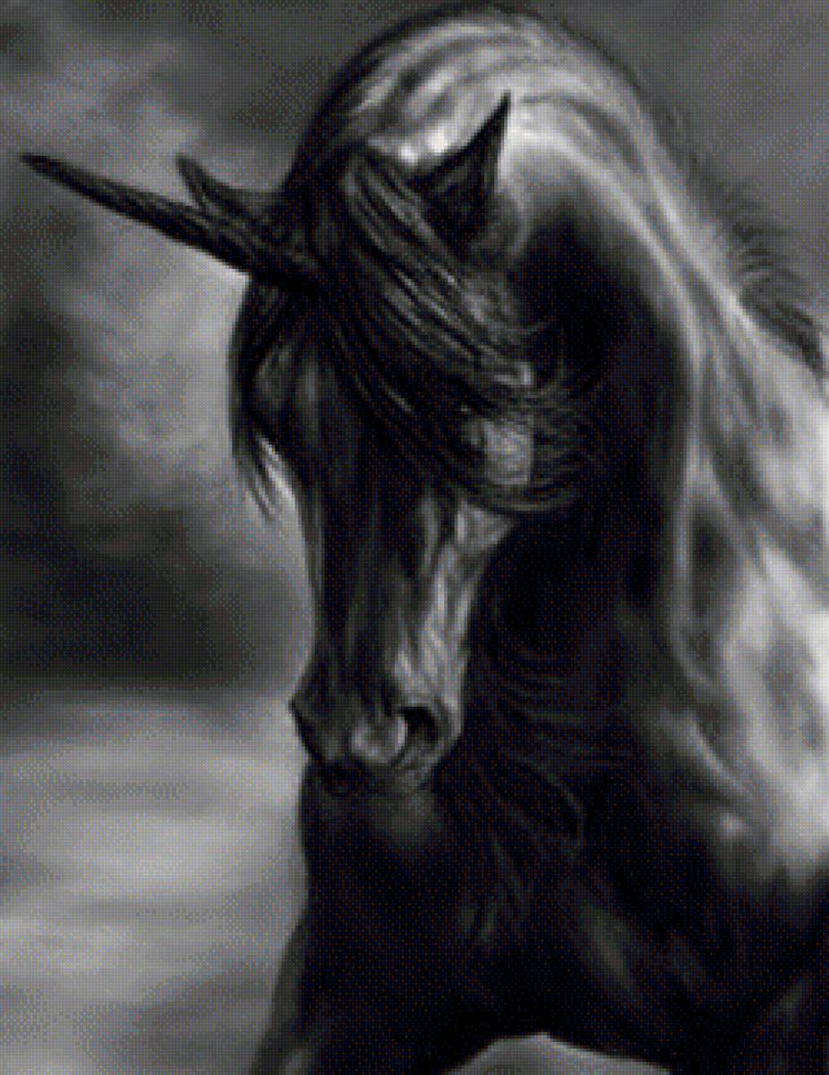 черный единорог - предпросмотр