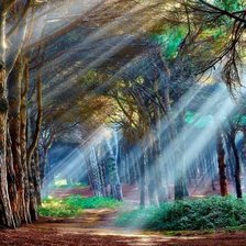 Схема вышивки «лес»