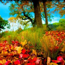 Схема вышивки «природа»