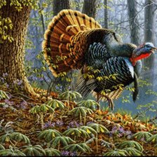 Схема вышивки «Larry Zach - Wild Turkey»